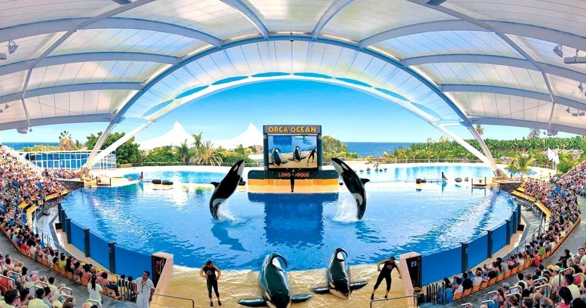 Lujoso Apartamento Completo, Piscina, Terraza Con Vistas Al Teide Πουέρτο Ντε Λα Κρουζ Εξωτερικό φωτογραφία